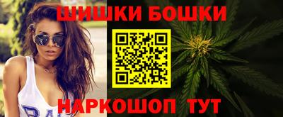 молекула духа Будённовск