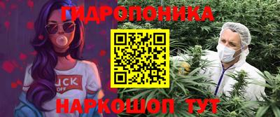 молекула духа Будённовск