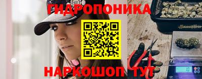 молекула духа Будённовск