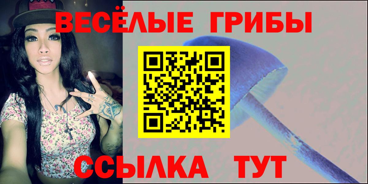 Галлюциногенные грибы Magic Shrooms  Галлюциногенные грибы Psilocybe  Вход с VPN  купить наркотик  Курск 